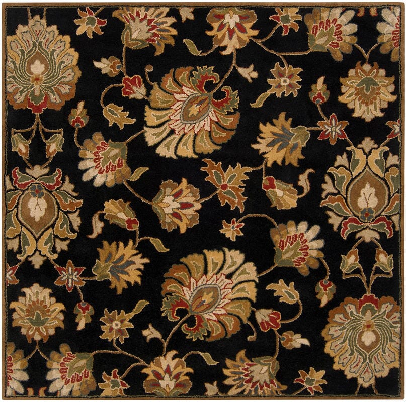 Surya Caesar cae-1027 Black / Brown / Gold / Red Area Rug