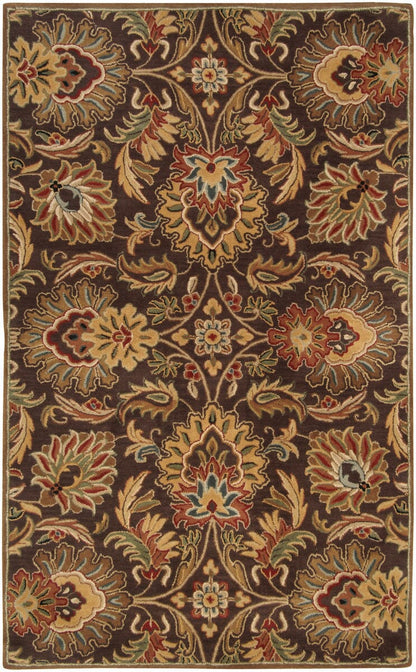 Surya Caesar cae-1028 Chocolate / Golden Brown / Gold Area Rug