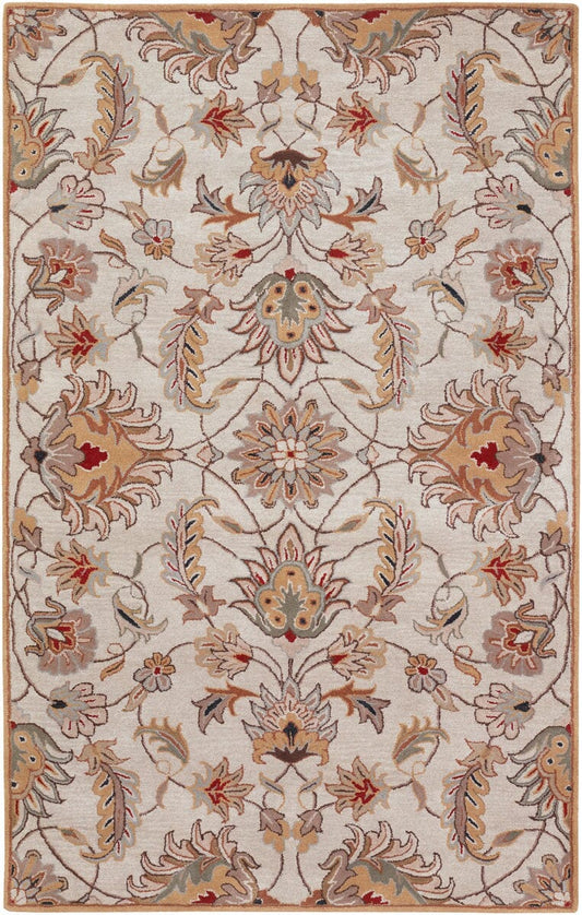 Surya Caesar cae-1029 Gold / Beige / Taupe / Rust Area Rug