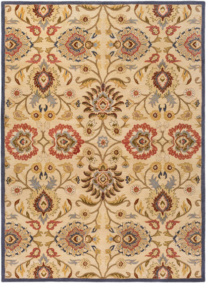 Surya Caesar Cae-1116 Khaki / Night Sky / Brick Red Area Rug