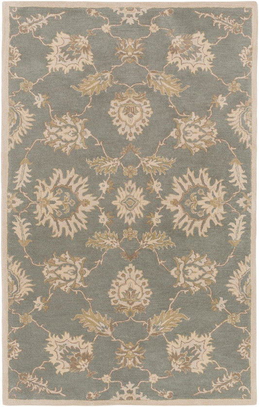 Surya Caesar Cae-1156 Slate / Ivory / Olive / Taupe Area Rug