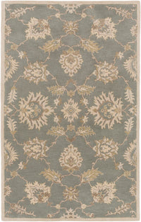 Surya Caesar Cae-1156 Slate / Ivory / Olive / Taupe Area Rug