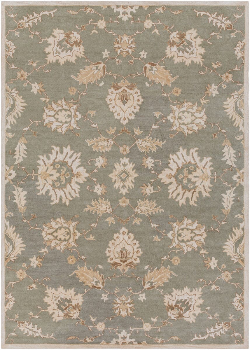 Surya Caesar Cae-1156 Slate / Ivory / Olive / Taupe Area Rug