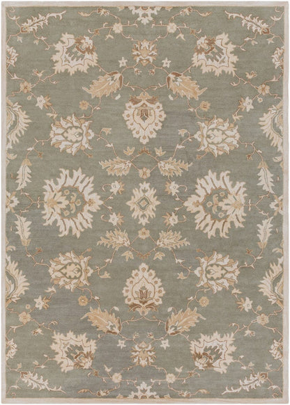 Surya Caesar Cae-1156 Slate / Ivory / Olive / Taupe Area Rug