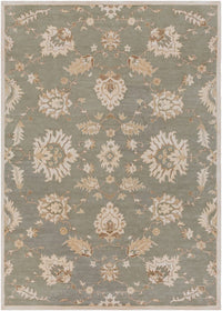 Surya Caesar Cae-1156 Slate / Ivory / Olive / Taupe Area Rug