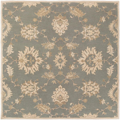 Surya Caesar Cae-1156 Slate / Ivory / Olive / Taupe Area Rug