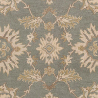 Surya Caesar Cae-1156 Slate / Ivory / Olive / Taupe Area Rug