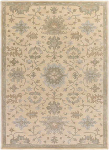 Surya Caesar Cae-1161 Beige / Moss / Slate / Olive Area Rug