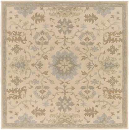 Surya Caesar Cae-1161 Beige / Moss / Slate / Olive Area Rug