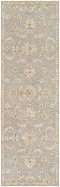 Surya Caesar Cae-1162 Slate / Light Gray / Olive / Taupe Area Rug