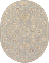 Surya Caesar Cae-1162 Slate / Light Gray / Olive / Taupe Area Rug