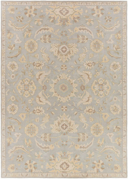 Surya Caesar Cae-1162 Slate / Light Gray / Olive / Taupe Area Rug