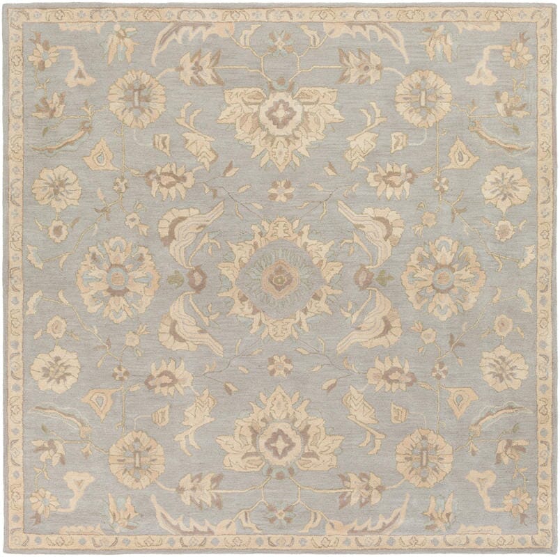 Surya Caesar Cae-1162 Slate / Light Gray / Olive / Taupe Area Rug