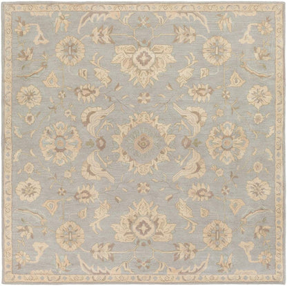 Surya Caesar Cae-1162 Slate / Light Gray / Olive / Taupe Area Rug