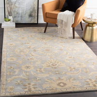 Surya Caesar Cae-1162 Slate / Light Gray / Olive / Taupe Area Rug