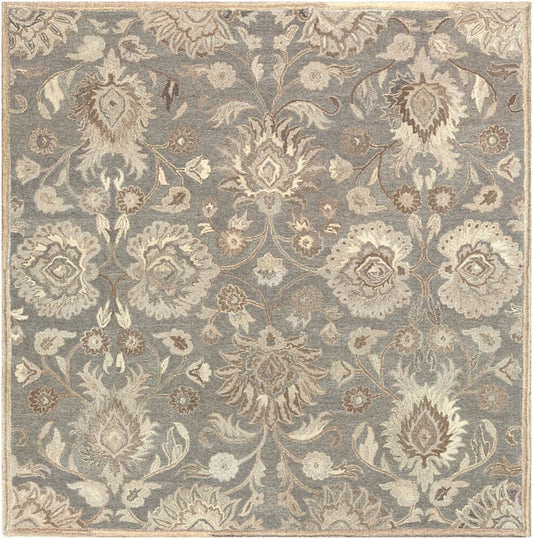 Surya Caesar Cae-1195 Taupe, Camel, Cream, Light Gray Area Rug