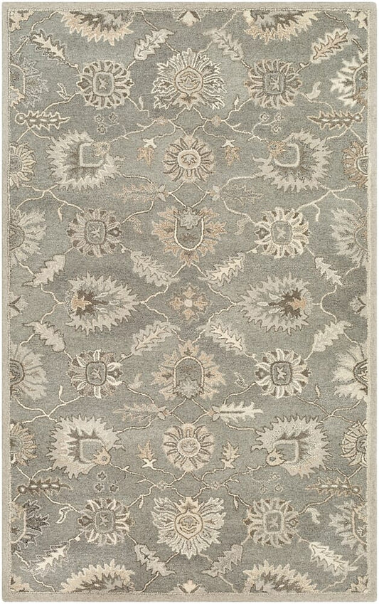 Surya Caesar Cae-1199 Charcoal, Taupe, Dark Brown, Black Area Rug