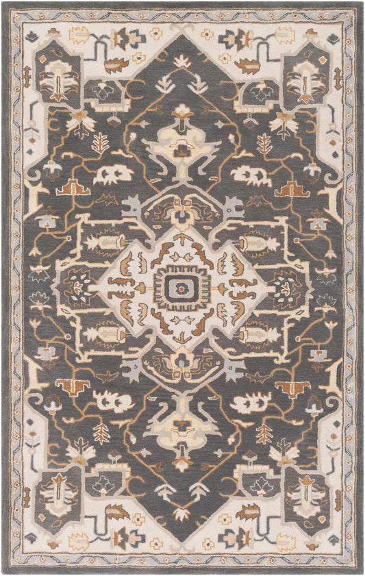 Surya Caesar Cae-1216 Charcoal, Brown Area Rug