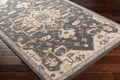 Surya Caesar Cae-1216 Charcoal, Brown Area Rug