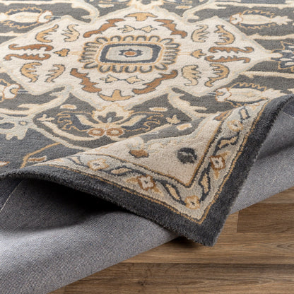 Surya Caesar Cae-1216 Charcoal, Brown Area Rug