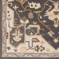 Surya Caesar Cae-1216 Charcoal, Brown Area Rug