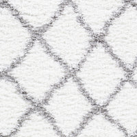 Surya California Shag Caf-2301 Medium Gray, White Area Rug