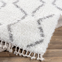 Surya California Shag Caf-2302 Medium Gray, White Area Rug