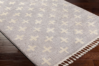 Surya Casablanca Shag Cag-2301 Grey Area Rug