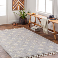 Surya Casablanca Shag Cag-2301 Grey Area Rug