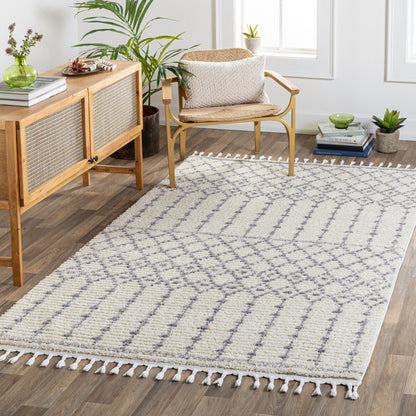 Surya Casablanca Shag Cag-2309 Blue Area Rug