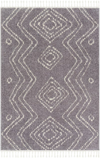 Surya Casablanca Shag Cag-2314 Grey Area Rug