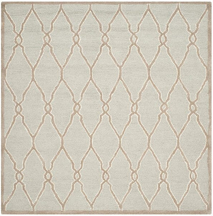 Safavieh Cambridge Cam352L Light Grey / Ivory Geometric Area Rug