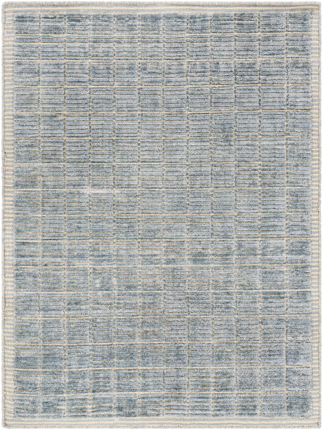 Surya Carre Ccr-2303 Denim, Beige Rugs.