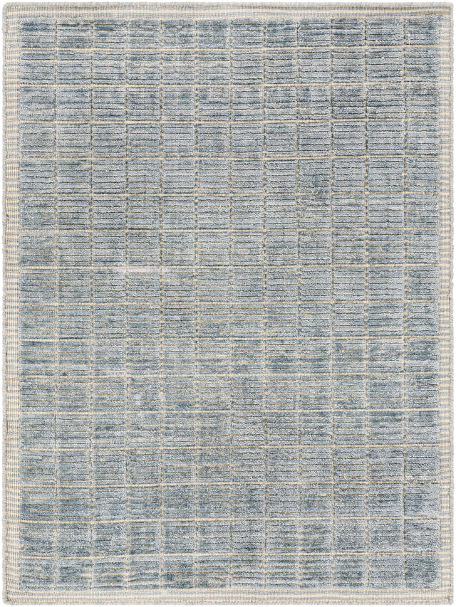 Surya Carre Ccr-2303 Denim, Beige Rugs.