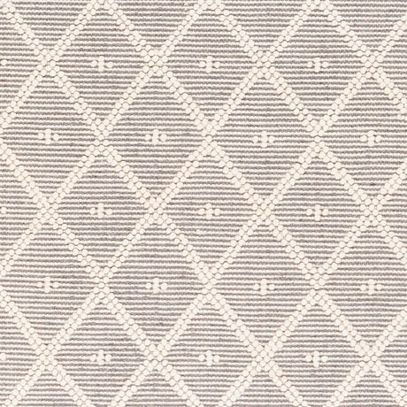 Surya Casa Decampo Cdc-2304 Ivory, Medium Gray Rugs.