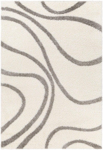 Surya Cloudy Shag Cdg-2300 Beige Area Rug