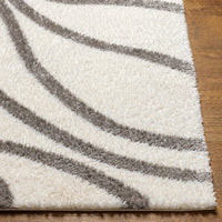 Surya Cloudy Shag Cdg-2300 Beige Area Rug