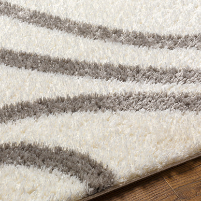 Surya Cloudy Shag Cdg-2300 Beige Area Rug