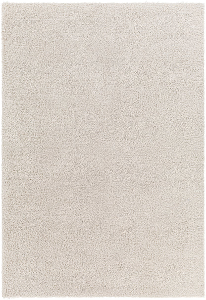 Surya Cloudy Shag Cdg-2301 Beige Area Rug