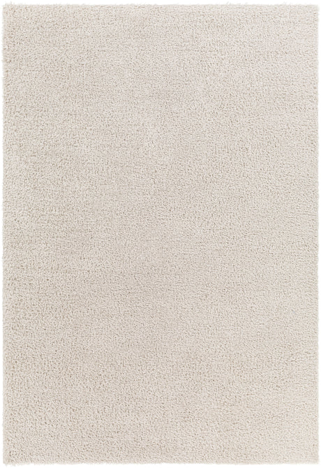 Surya Cloudy Shag Cdg-2301 Beige Rug.