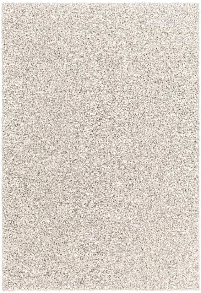 Surya Cloudy Shag Cdg-2301 Beige Rug.