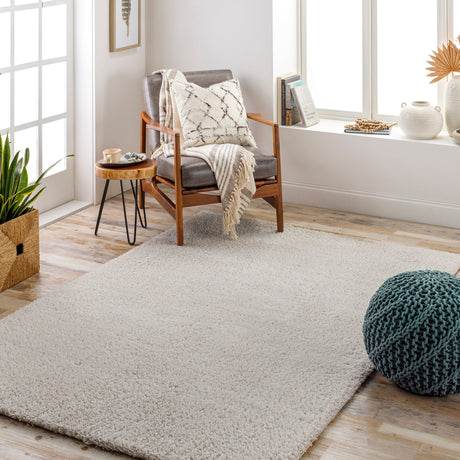 Surya Cloudy Shag Cdg-2301 Beige Rug.