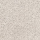 Surya Cloudy Shag Cdg-2301 Beige Rug.