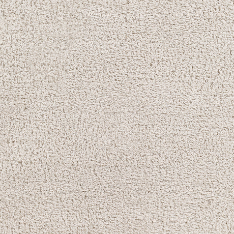 Surya Cloudy Shag Cdg-2301 Beige Rug.
