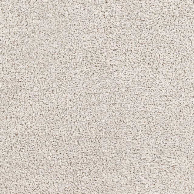 Surya Cloudy Shag Cdg-2301 Beige Rug.