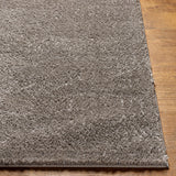 Surya Cloudy Shag Cdg-2304 Brown Rug.