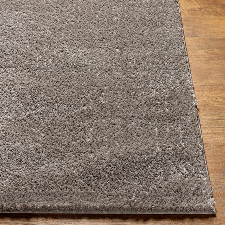 Surya Cloudy Shag Cdg-2304 Brown Rug.