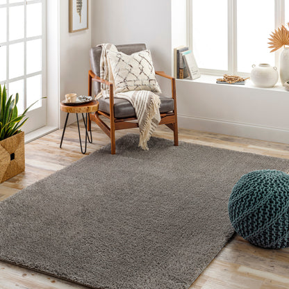 Surya Cloudy Shag Cdg-2304 Brown Area Rug