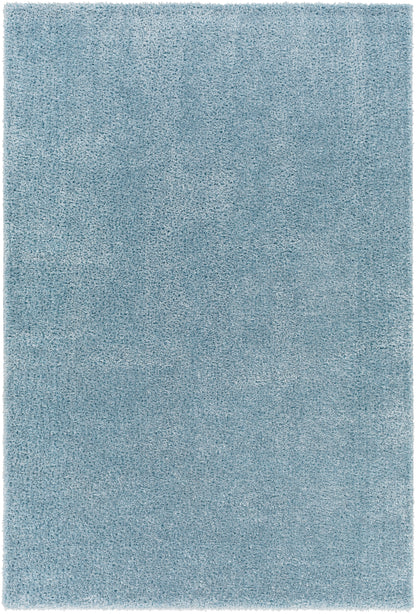 Surya Cloudy Shag Cdg-2305 Blue Area Rug