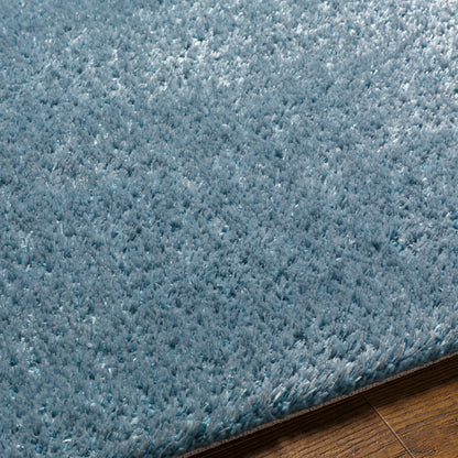 Surya Cloudy Shag Cdg-2305 Blue Area Rug